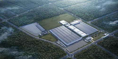 武汉汉南区爆料案件最新,真相渐明，疑云散去